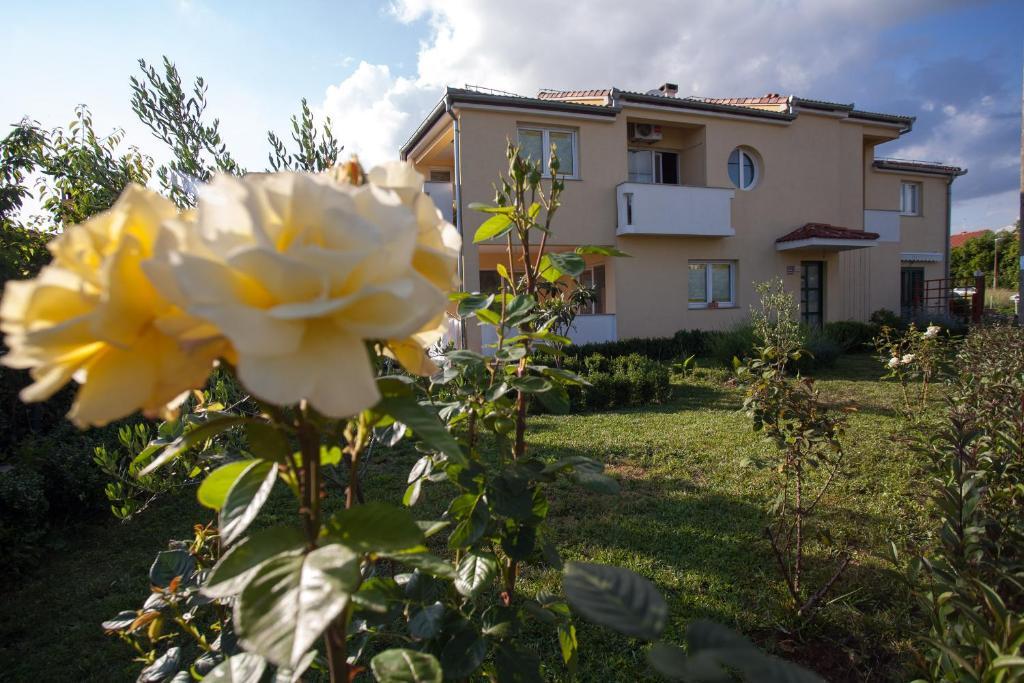 Apartments Emma Биоград-на-Мору Экстерьер фото